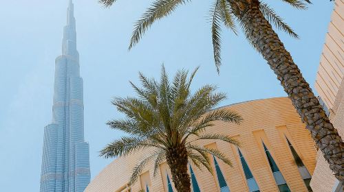 Glimpse of Dubai Day Tours 5