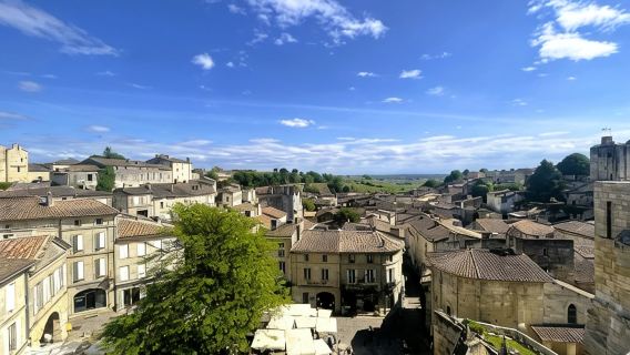 Full day visit Saint Emilion village and wineries with lunch included