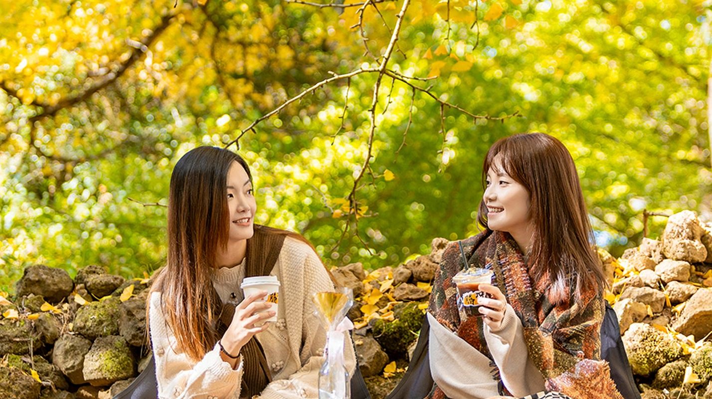 騰衝火山公園+銀杏村+北海濕地一日遊升級可選遊船竹筏溫泉演出