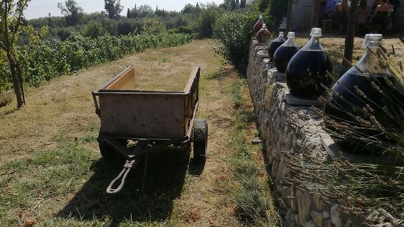 Half-Day Wine Tasting and Saint Paul de Vence Tour from Nice