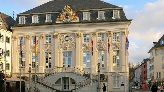 Tour privato a piedi di Bonn con una guida professionale