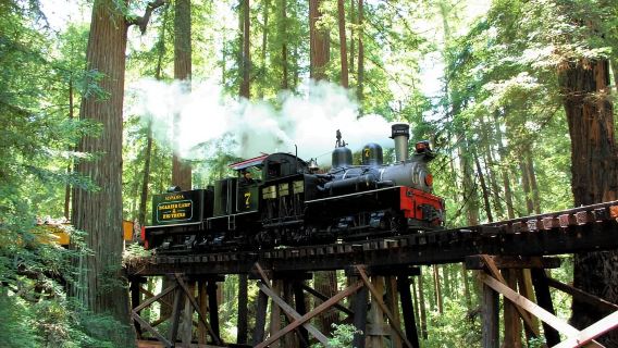 【咆哮山莊+Henry Cowell Redwoods State Park+鮑魚農場+彩虹屋】包車