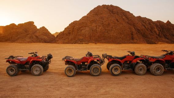 ขี่ควอดไบค์และอูฐที่ชาร์ม เอล ชีค พร้อมอาหารเย็นแบบเบดูอินและการแสดง (เลือกได้)