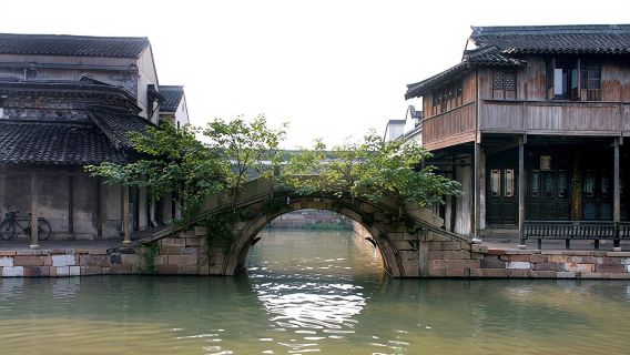 杭州烏鎮東柵+西塘風景區+能仁寺一日遊【含導遊，主城區內上門接】