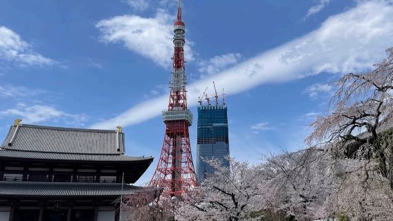 八王子市日遊