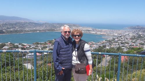 Full Day Tour of Wellington Day Tours