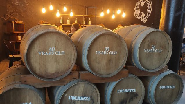 Port Wine Lodges Tour Including 7 Port Wine Tastings (English)