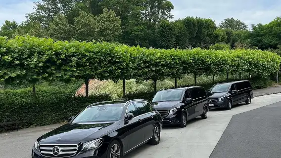 ทัวร์ส่วนตัวหนึ่งวัน ทริปซาลซ์บูร์ก ฮัลล์สตัทท์ และเมลค์ จากเวียนนา