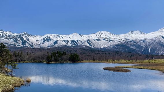日本北海道富田農場-森林精靈陽台-青池【北海道中文專車】