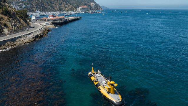 Yellow Semi-Submarine Tour of Catalina Island From Avalon