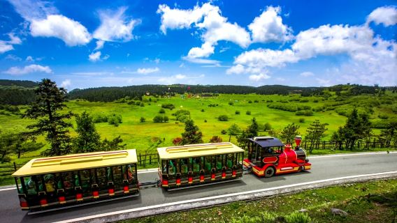 Wulong Three Natural Bridges and Fairy Mountain Forest Park: private tour Tour with Native-Speaking guide|Karst geological wonders