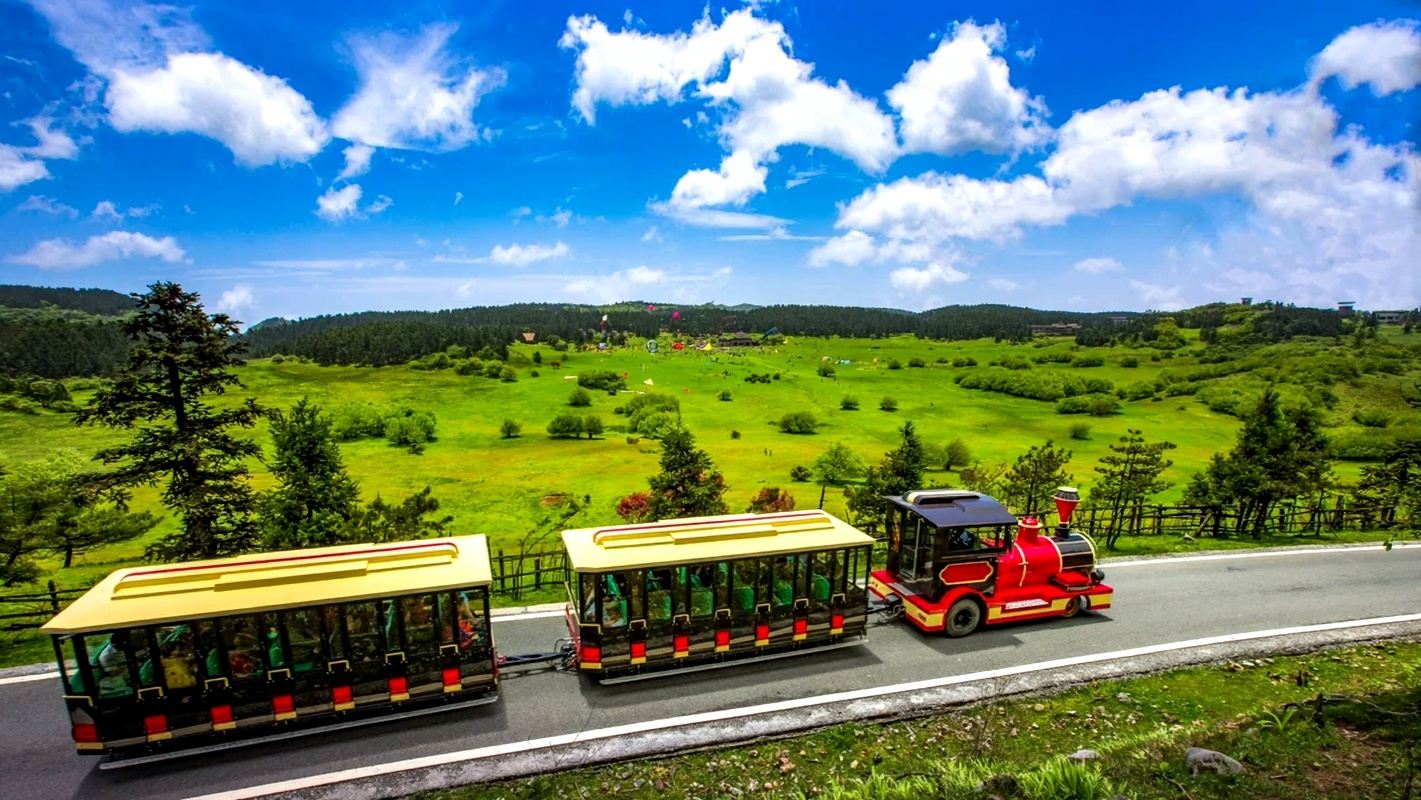 1-Day Private Tour to Three Natural Bridges and Fairy Mountain Forest Park: Karst Landscape in Chongqing