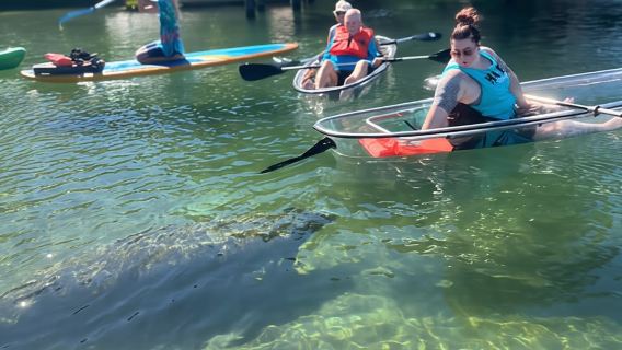 Crystal River: Clear Kayak Manatee Tour w/Free Photo Package