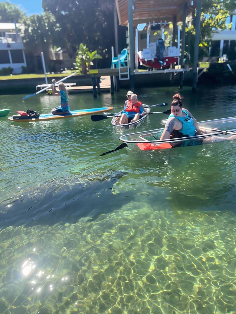 Crystal River: Clear Kayak Manatee Tour w/Free Photo Package