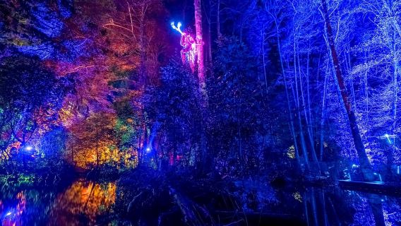 Queenstown: Wunderlicher Sinnesspaziergang bei LUMA Enchanted