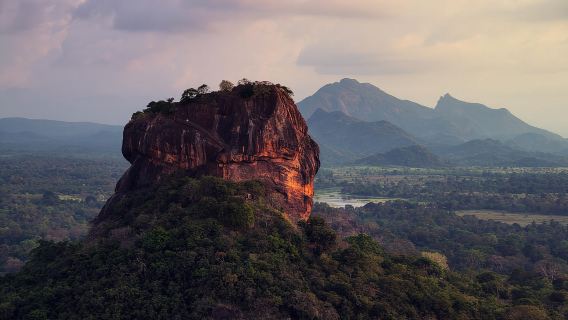 From Kandy: Sigiriya and Dambulla Private Day Tour