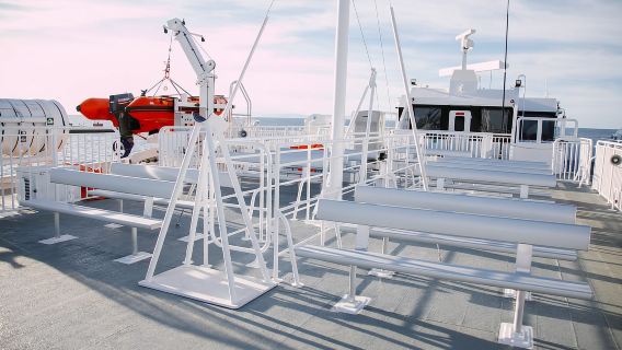 Desde Hamburgo, Brunsbüttel o Cuxhaven: excursión de un día a Helgoland