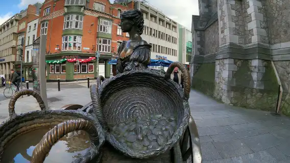Dublin: Dublin City Highlights Private Guided Walking Tour