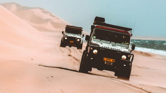 Walvis Bay: Delfin-Kreuzfahrt, Pink Lakes und 4x4-Dünenfahrt