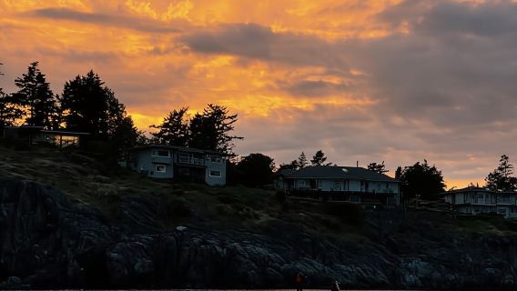 Oak Bay: Experiencia de remo bajo la luna llena