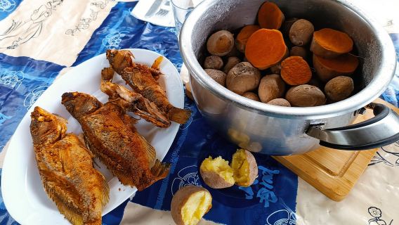 Tenerife-Puerto Cruz: Đi bộ đường dài Avatar, Bajamar và Cocktail