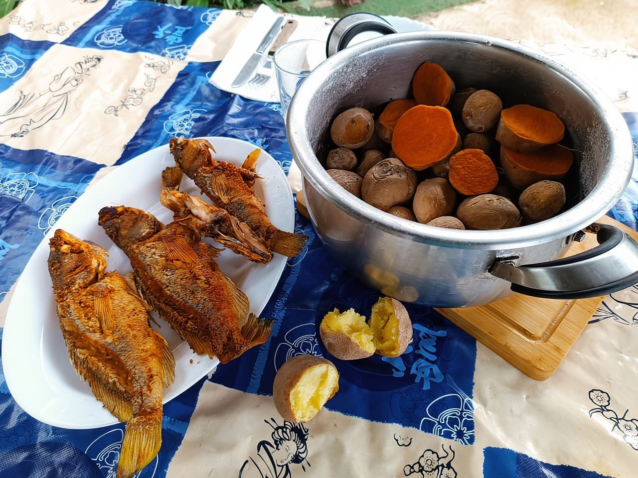 Tenerife-Puerto Cruz: Avatar Hiking, Bajamar and Cocktail