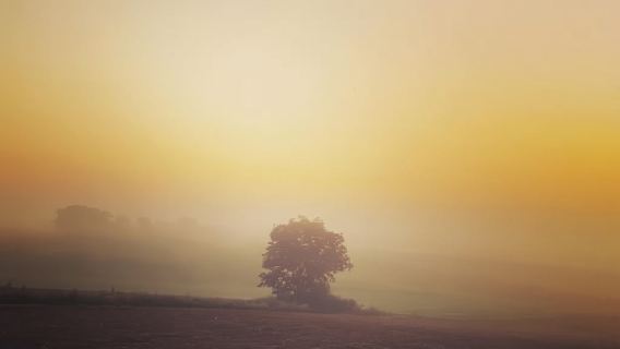 South of Paris: hot air balloon flight