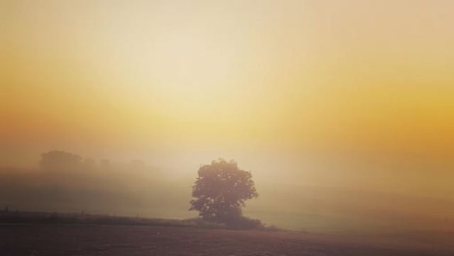 Au sud de Paris : vol en montgolfière