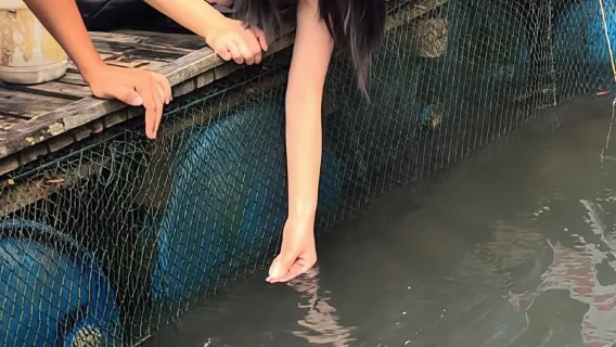 Pacchetto Langkawi Mangrove Monkey