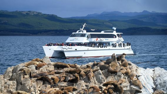 Escursione di mezza giornata attraverso il Canale di Beagle fino all'Isola di Lobos