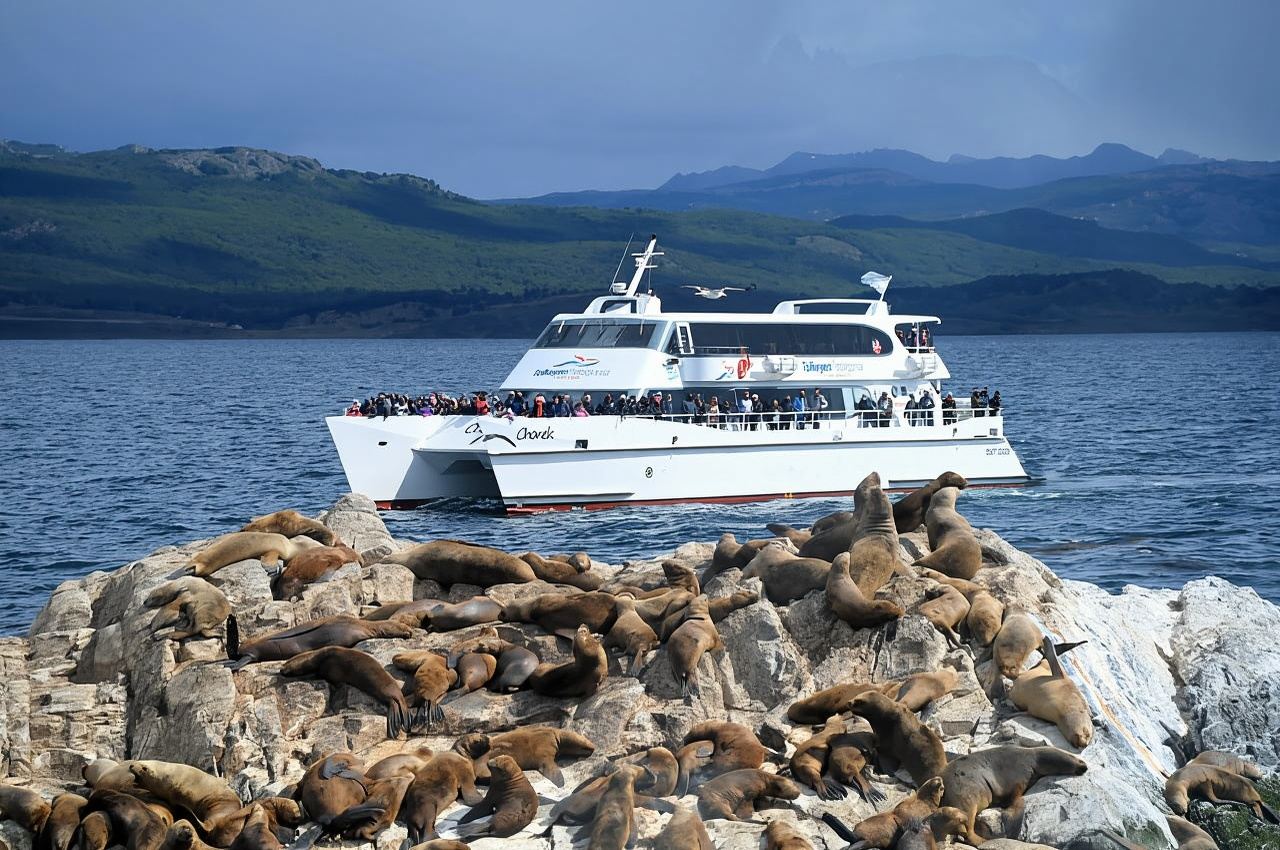 Half-Day Tour through the Beagle Channel to Lobos Island