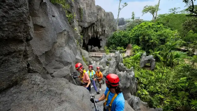 新加坡:熱帶雨林野生亞洲門票