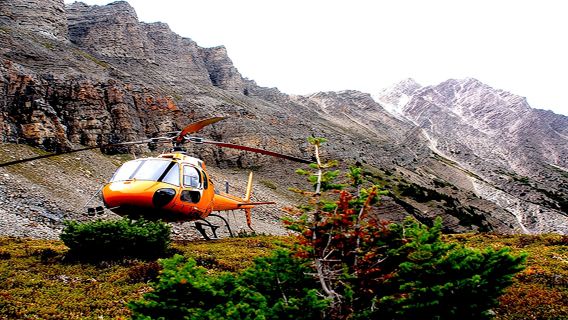 Icefields Parkway Helicopter Tour