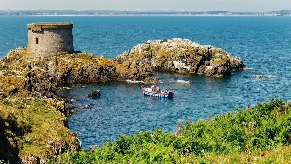 Dublin: Howth Coastal Boat Tour
