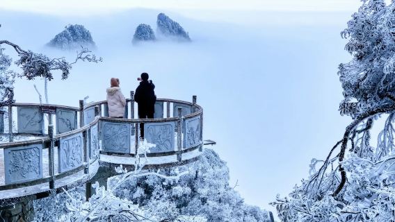 湖南郴州+莽山五指峰景區一日遊【門票+索道+大巴】天天發班