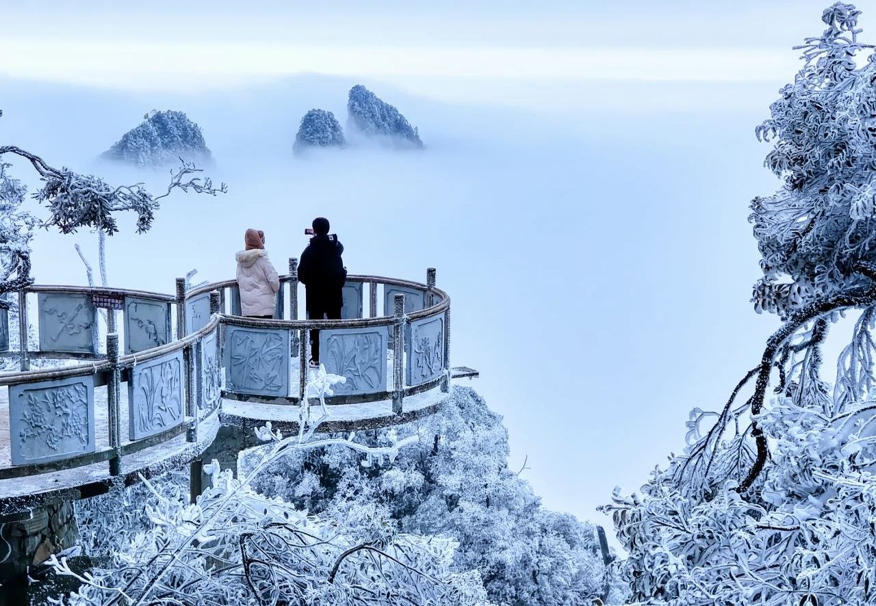 湖南郴州+莽山五指峰景區一日遊【門票+索道+大巴】天天發班