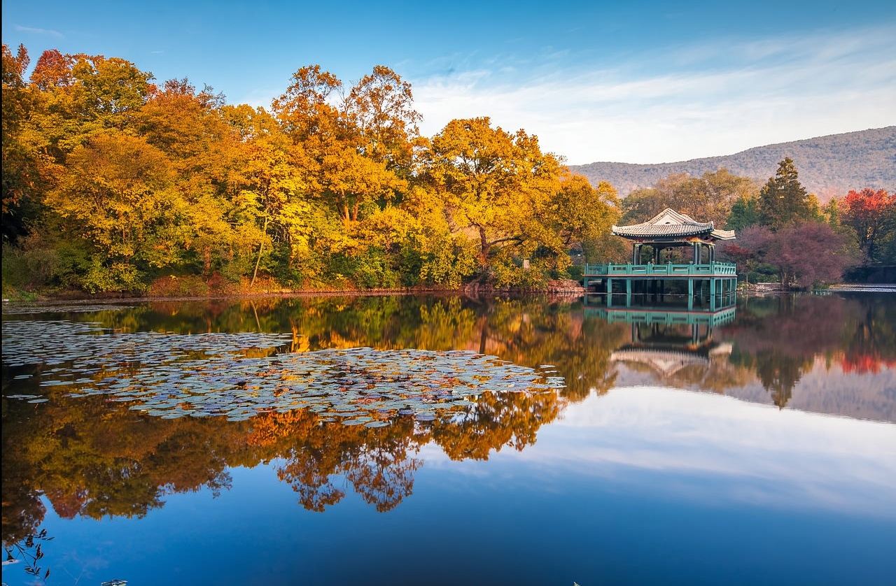 Nanjing, Jiangsu Translation/Guide/Local Guide Services in Chinese, English, Russian, French, and Other Languages - Including Scenic Spot Guiding, On-Site Interpretation, and Accompanying Guide Services