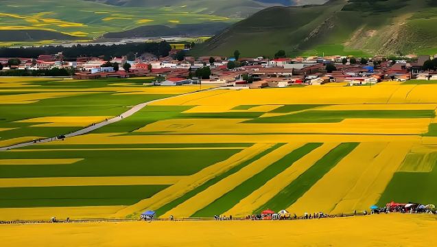 [Hanya Bermain Tiada Beli-belah] Lawatan Sehari ke Bunga Rape Kaunti Yang + Taman Pir Ibis Merah + Tasik Jinsha