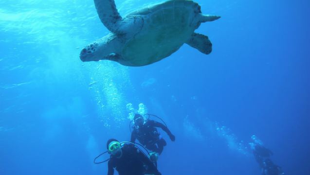 沖縄  JAM（ジャム）マリンクラブ