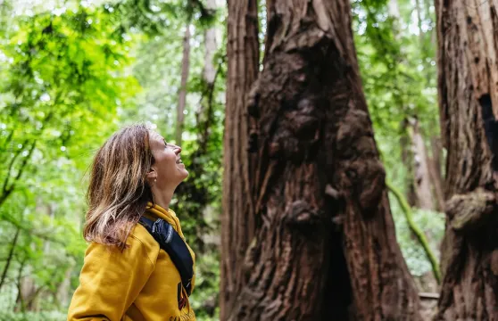 繆爾森林及索薩利托 (乘巴士或渡輪來回)