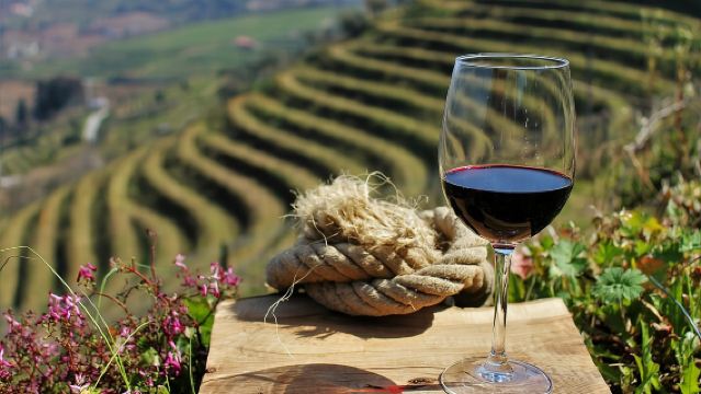 Auténtico tour por el Valle del Duero: Visita 2 bodegas, almuerzo y crucero fluvial