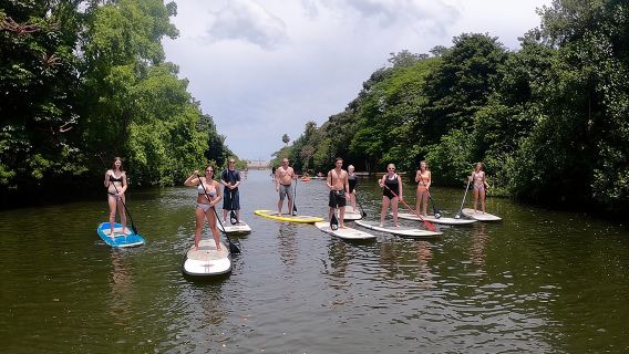 HonoluluTours