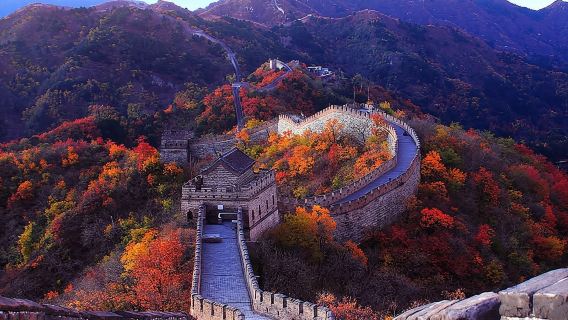 Small Group Tour: Mutianyu Great Wall, Summer Palace & Bird Nest