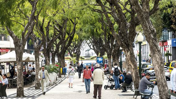 In the Heart of the City