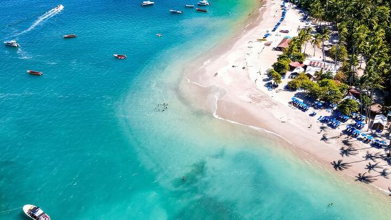Visit Tortuga Island with Lunch from San José