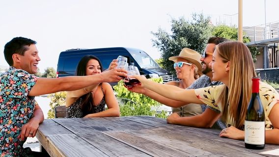 Tour privato di degustazione di vini all-inclusive