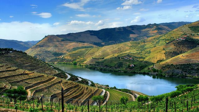 Douro full-day tour