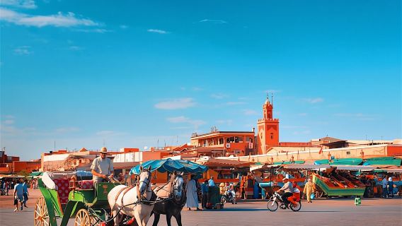 Marrakech private full-day city tour with a driver