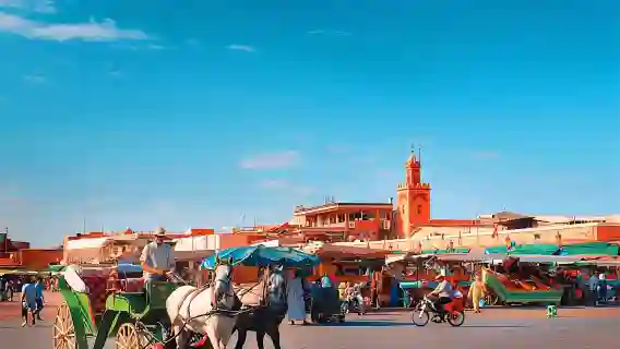 Marrakech private full-day city tour with a driver