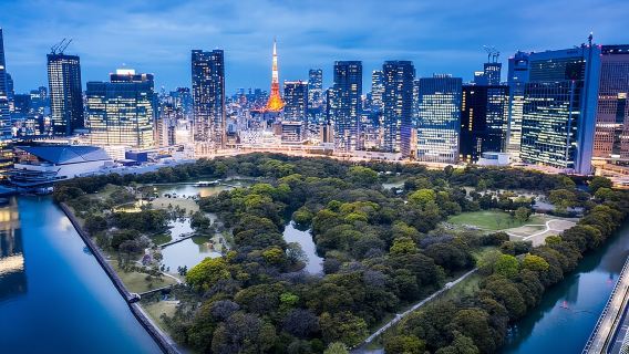 Customizable Private Tokyo Tour with an English-speaking Driver